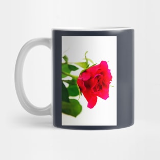 Red Rose For You Mug